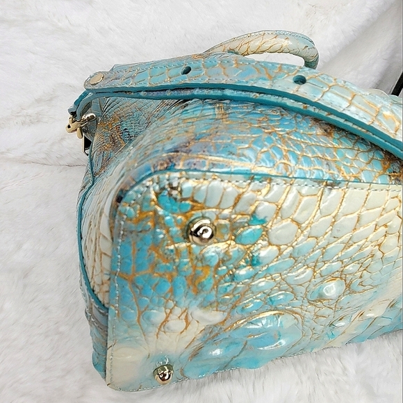 Brahmin - Picture 9 of 12